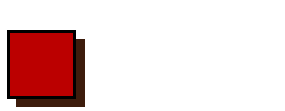 logo n+1