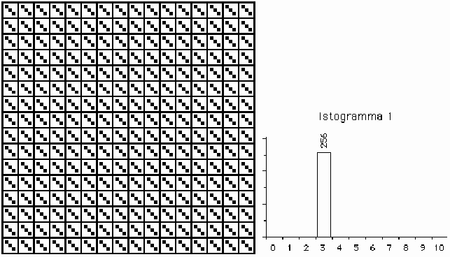 Simulazione distribuzione ricchezza