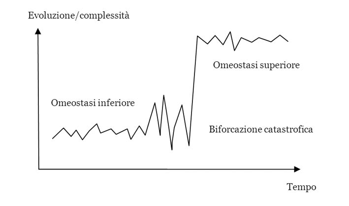 Cammino evolutivo di un sistema complesso