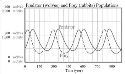 Predatori prede.jpg