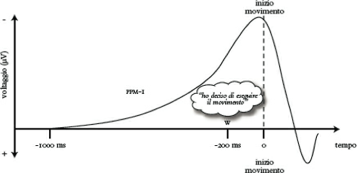 Figura 1. Libet, potenziale di prontezza motoria