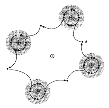 Figura 2. Iperciclo di Manfred Eigen